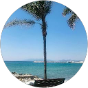 Protez Saç Merkezi 19 Kurod N. Profile Picture